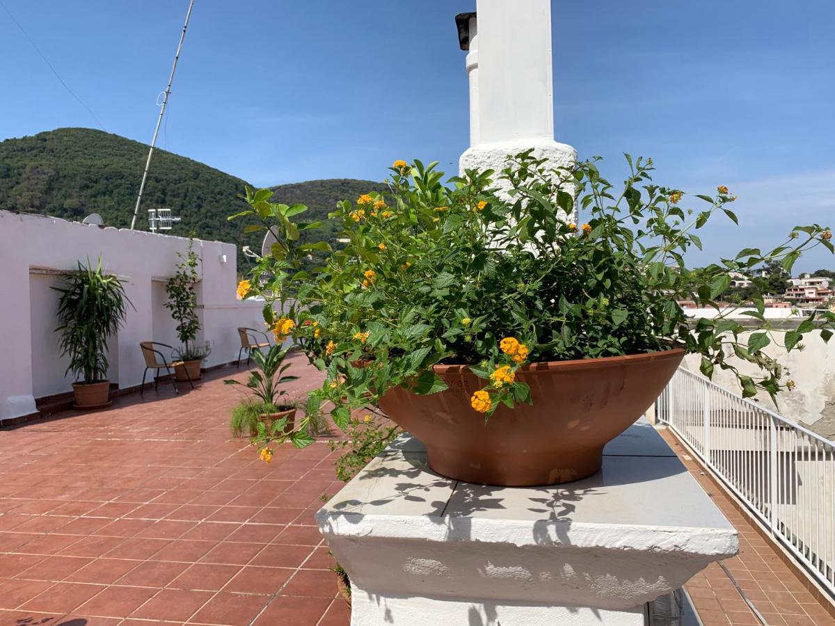 Molo35 Panzió Ischia Kültér fotó